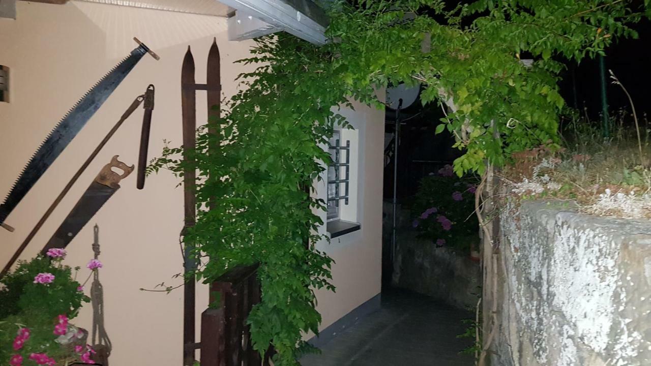 Ferienwohnungen "Gruendelrast" Prossen Εξωτερικό φωτογραφία